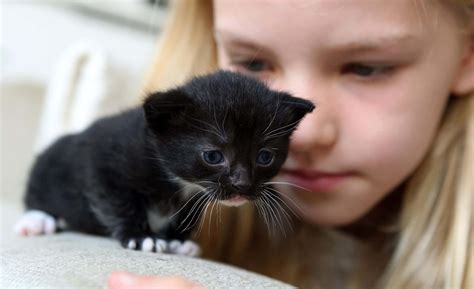 Baby Kitten goes 5on1 Hardcore gangbang with Triple .